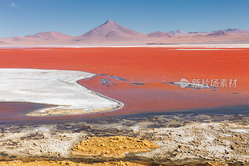 红湖(Red Lake)有许多颜色，红、黄、蓝、白，爱德华多阿瓦罗亚安第斯动物区系国家保护区，玻利维亚